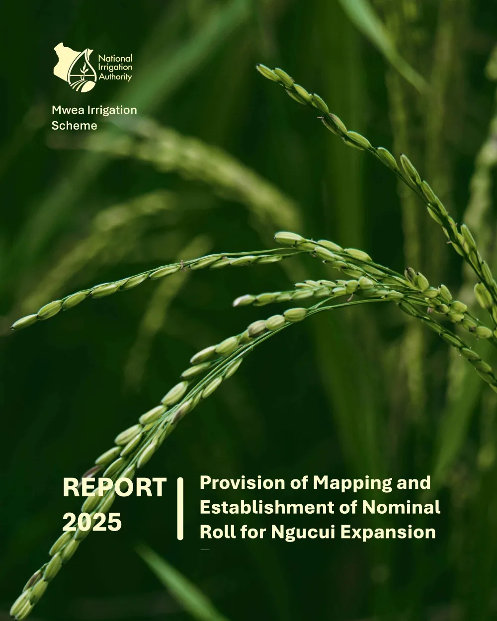 Smallholder Farmers Registration and Mapping - Mwea Irrigation Scheme. National Irrigation Authority